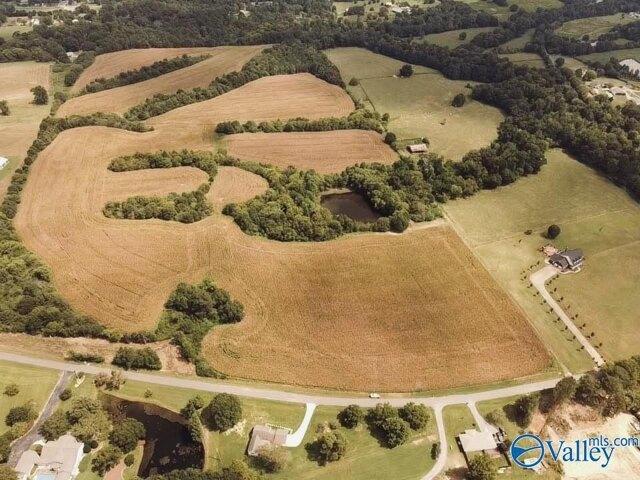 Land for sale in Albertville Land for sale in Albertville