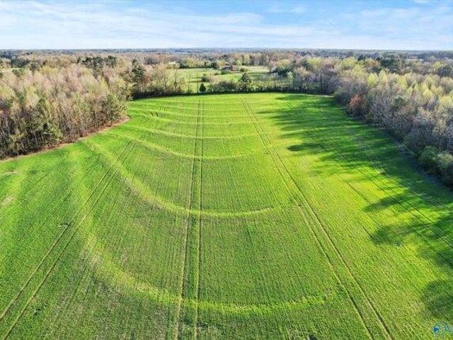 Land for sale in Albertville Land for sale in Albertville