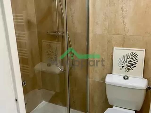 Appartement location à Albi