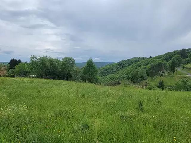 Terrain vente à Brive-la-Gaillarde, Albignac