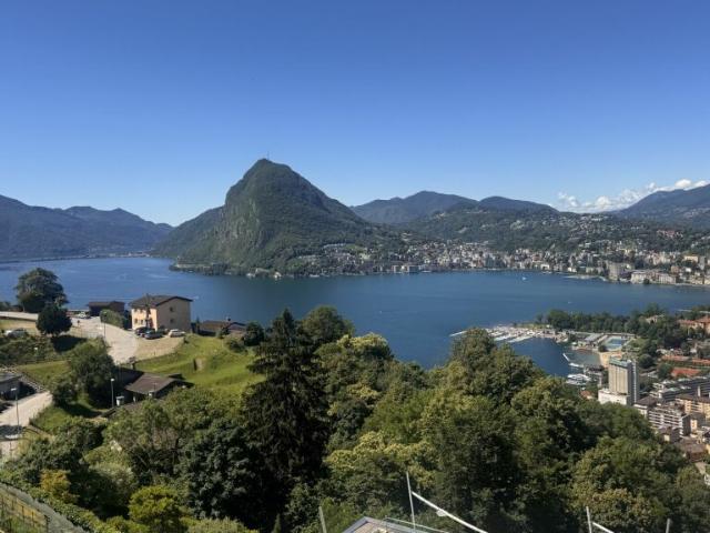 Wohnung kaufen in Aldesago, Tessin