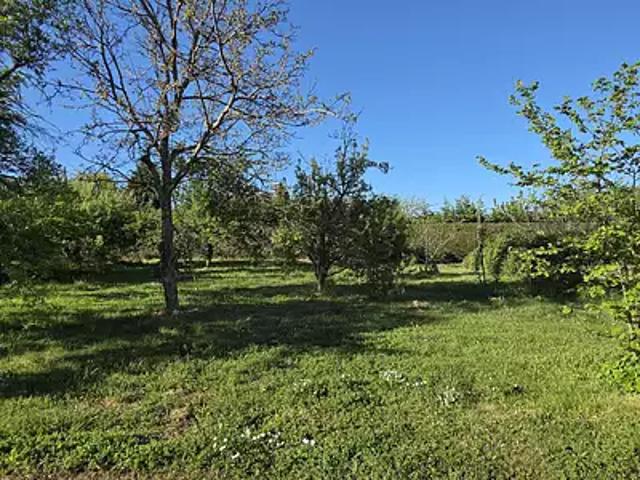 Terrain vente à Tournon-sur-Rhône, Alboussière