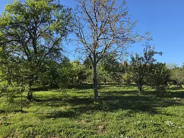 Terrain vente à Tournon-sur-Rhône, Alboussière