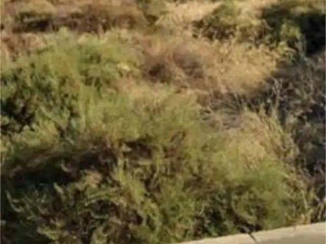 Apartamento en alquiler en Valle del Almanzora, Andalucía