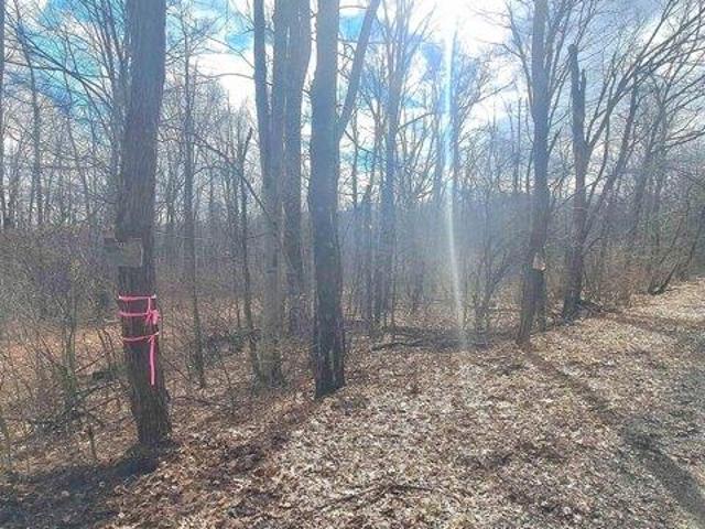 Land for sale in Albright, West Virginia