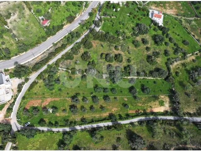 Terreno venda em Albufeira e Olhos de Água, Albufeira