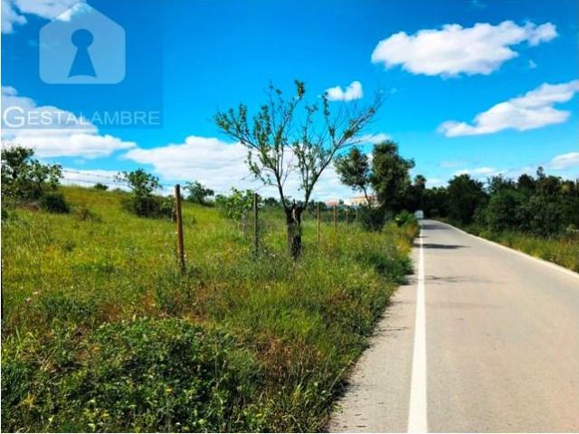 Terreno venda em Albufeira e Olhos de Água, Albufeira