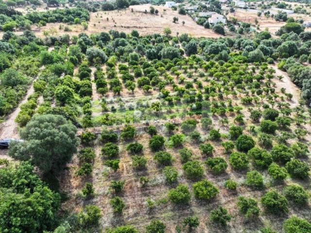 Terreno venda em Albufeira e Olhos de Água, Albufeira