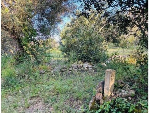 Terreno venda em Mem Moniz, Albufeira