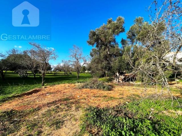 Terreno venda em Albufeira e Olhos de Água, Albufeira