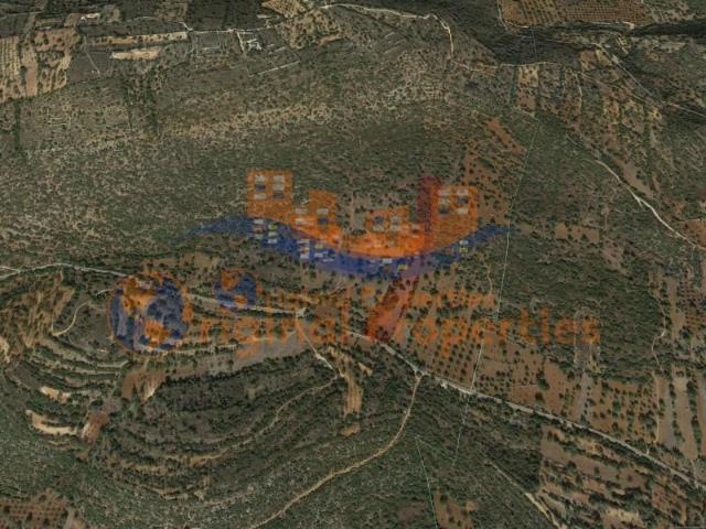 Terreno venda em Albufeira e Olhos de Água, Albufeira