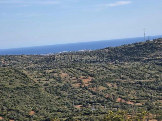 Terreno venda em Albufeira, Faro