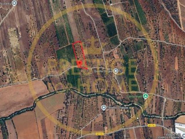 Terreno venda em Albufeira, Faro