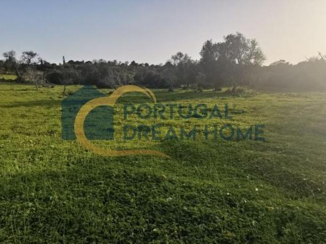 Terreno venda em Albufeira e Olhos de Água, Albufeira