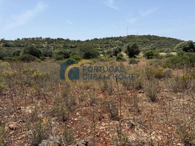 Terreno venda em Albufeira, Faro