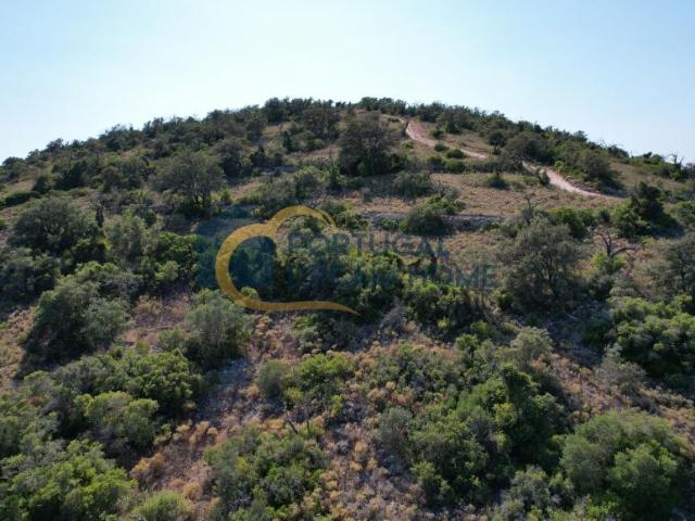Terreno venda em Albufeira, Faro