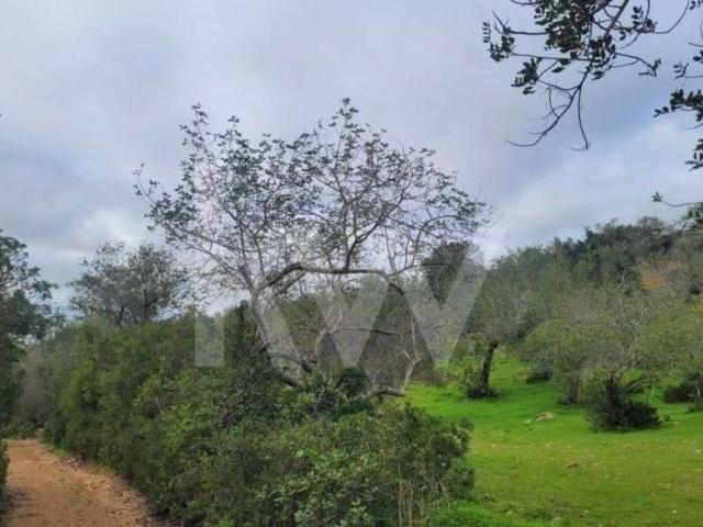 Terreno venda em Albufeira, Faro