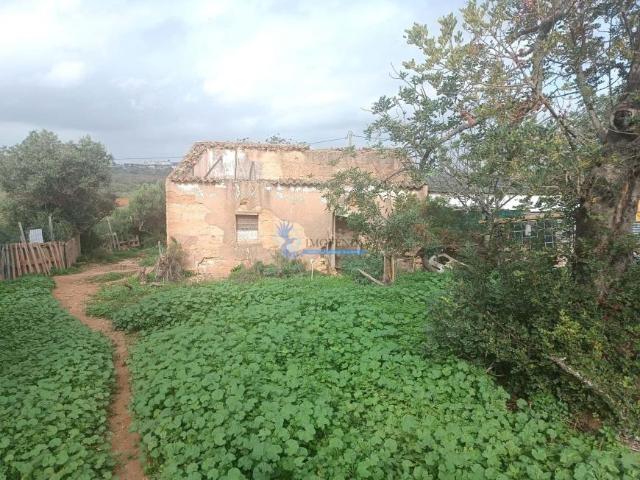 Terreno venda em Albufeira, Faro