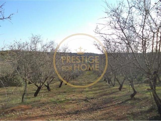 Terreno venda em Albufeira, Faro
