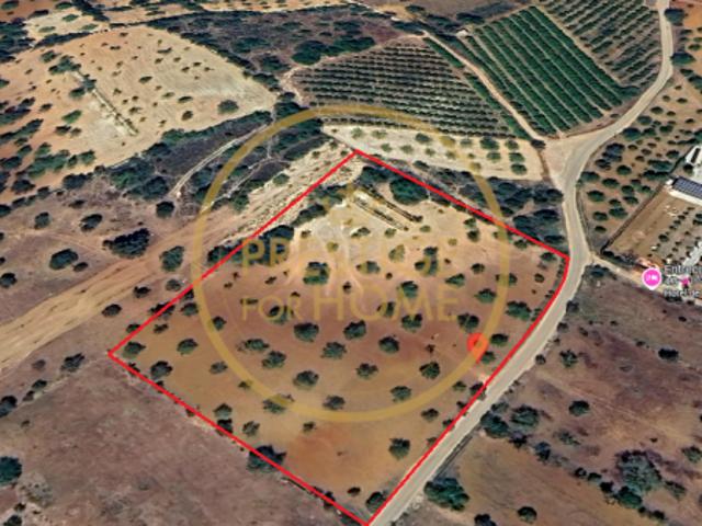 Terreno venda em Albufeira, Faro