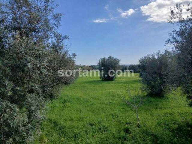 Terreno venda em Malhada Velha, Albufeira