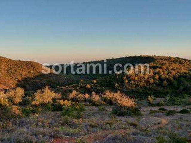 Terreno venda em Albufeira, Faro