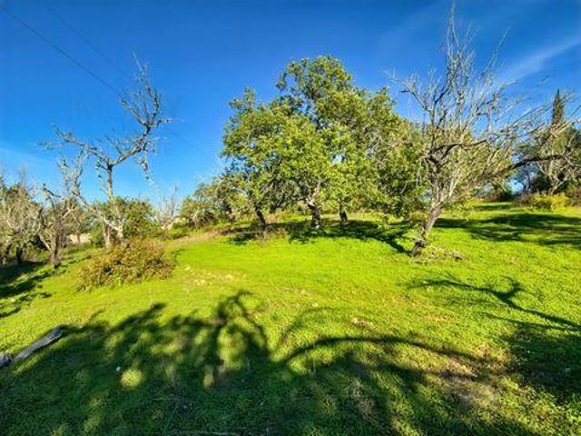 Terreno venda em Vale de Pegas, Albufeira