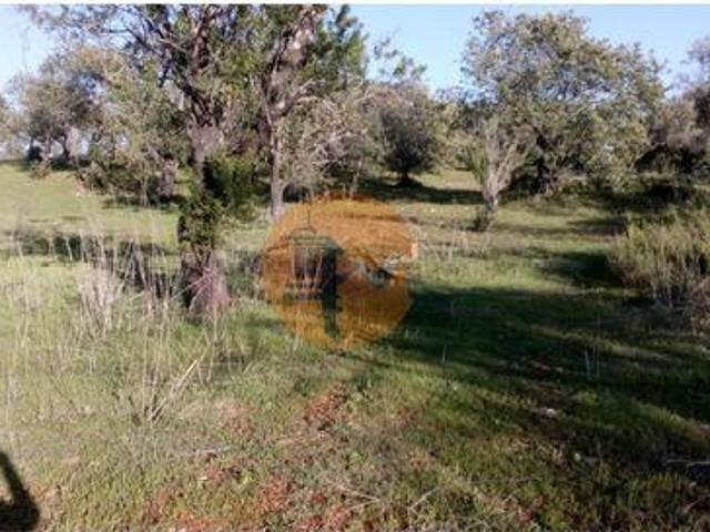 Terreno venda em Albufeira, Faro