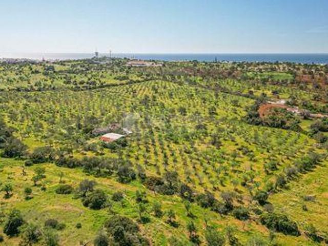 Terreno venda em Albufeira e Olhos de Água, Albufeira