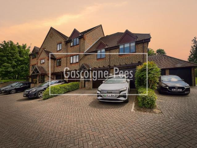 Apartment for rent in Charlotteville, Westborough