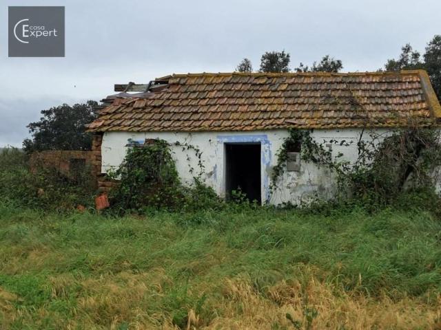 Terreno venda em Alcácer Do Sal, Setúbal