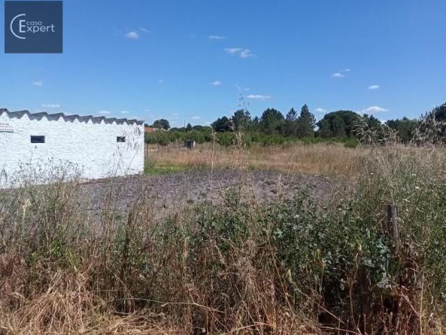 Terreno venda em Alcácer Do Sal, Setúbal