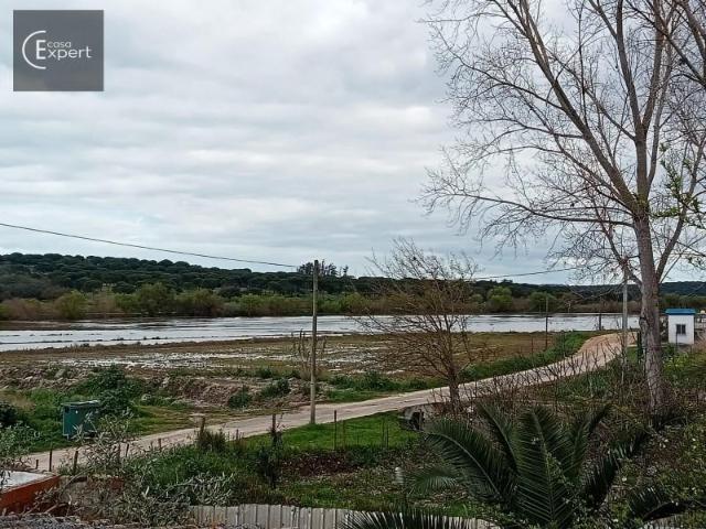 Terreno venda em Alcácer Do Sal, Setúbal