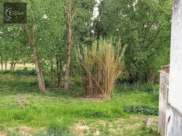 Terreno venda em Alcácer Do Sal, Setúbal