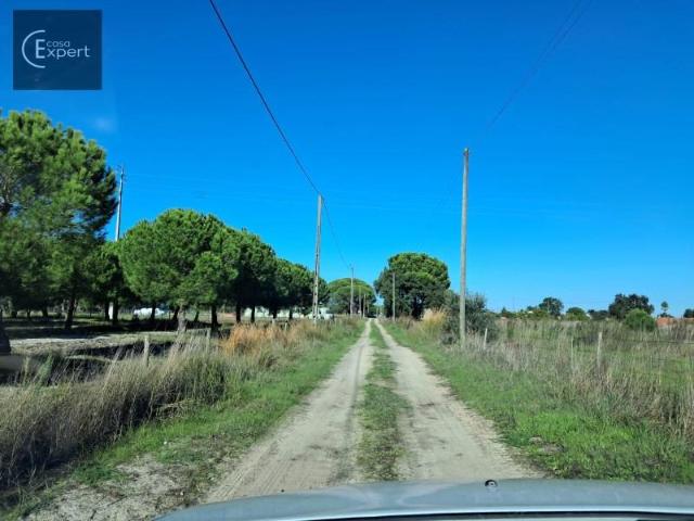 Terreno venda em Alcácer Do Sal, Setúbal