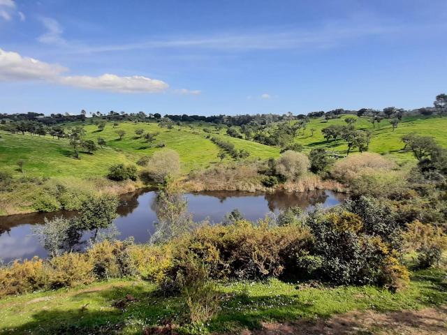Terreno venda em Barrancão, Alcácer Do Sal