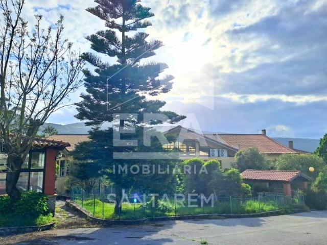 Terreno venda em Alcanena, Santarém
