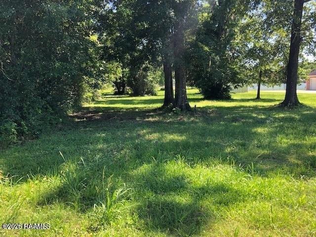 Land for sale in Abbeville, Louisiana