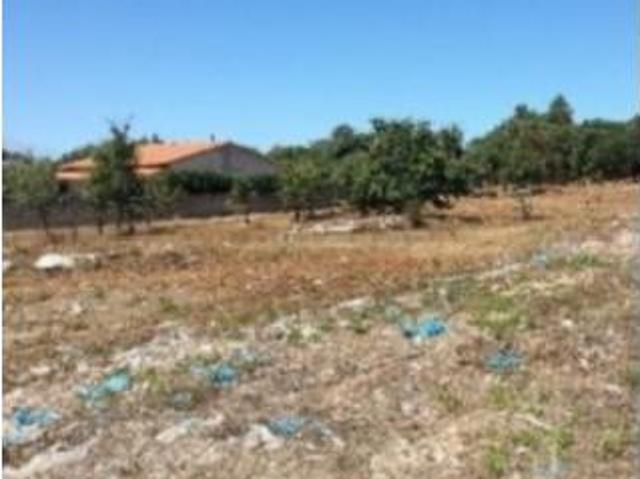 Terreno venda em Alcobaça, Leiria