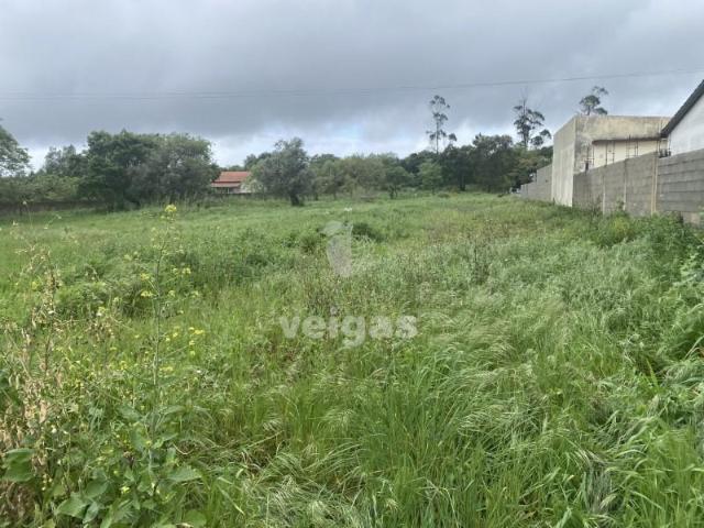Terreno venda em Alcobaça, Leiria