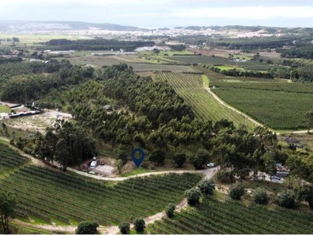 Terreno venda em Alcobaça, Leiria