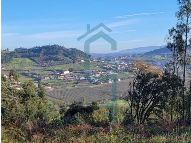 Terreno venda em Alcobaça, Leiria
