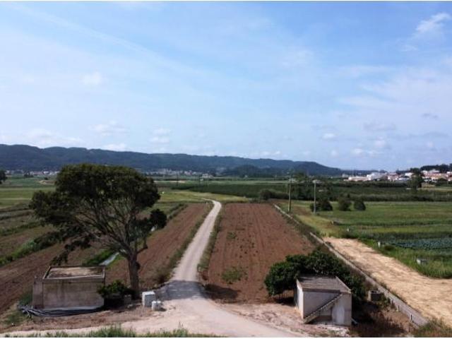 Terreno venda em Pederneira, Famalicão