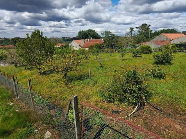 Terreno venda em Alcobaça, Leiria