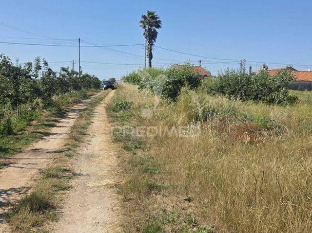 Terreno venda em Leiria, Pousos, Barreira e Cortes, Leiria