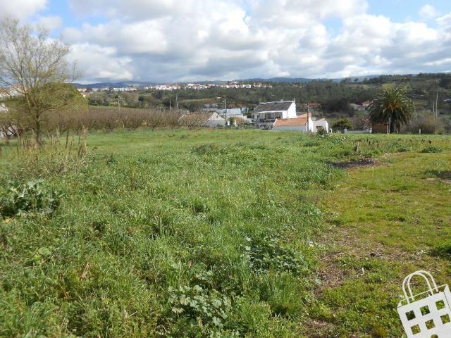 Terreno venda em Alcobaça, Leiria