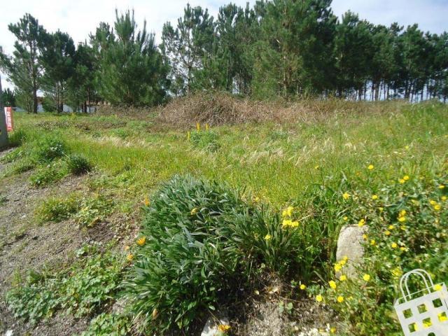 Terreno venda em Alcobaça, Leiria