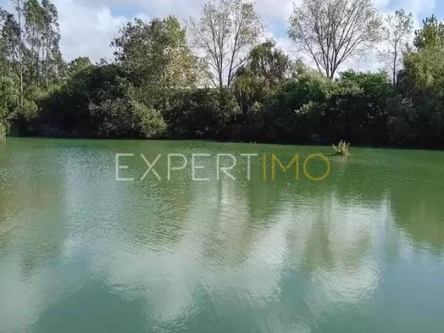 Terreno venda em Burinhosa, Alcobaça