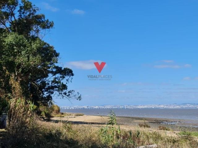Terreno venda em Canto do Pinheiro, Alcochete