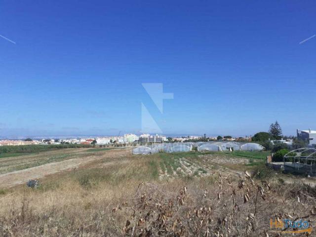 Terreno venda em Alcochete, Setúbal